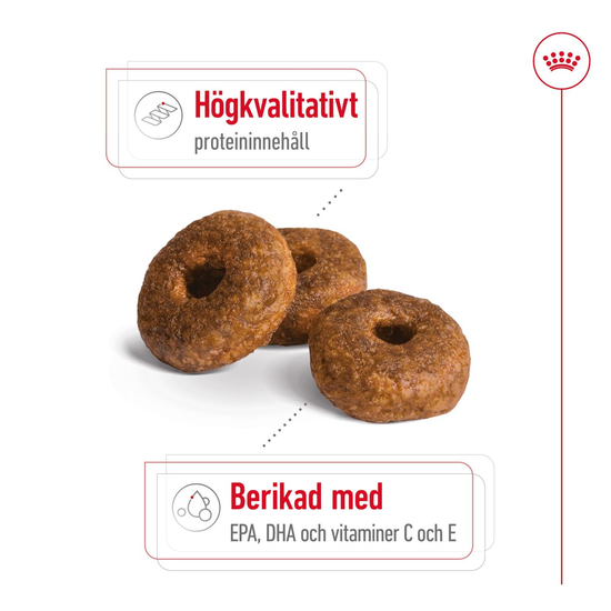 Royal Canin Medium Ageing 10+ Torrfoder för Hund 15 kg