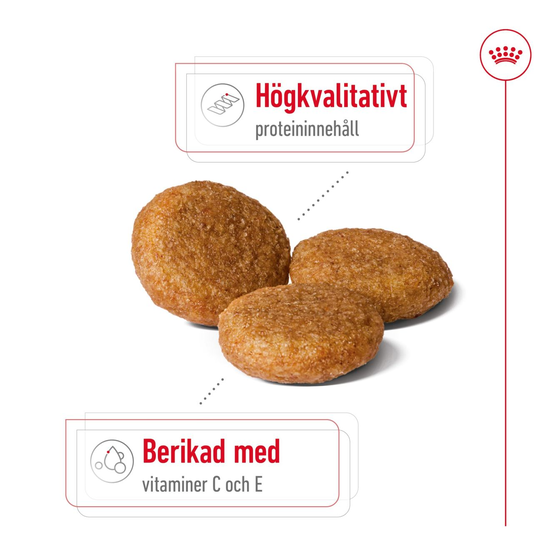 Royal Canin Medium Adult Torrfoder för Hund 4 kg