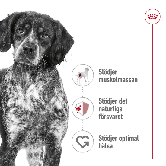 Royal Canin Medium Adult Torrfoder för Hund 4 kg