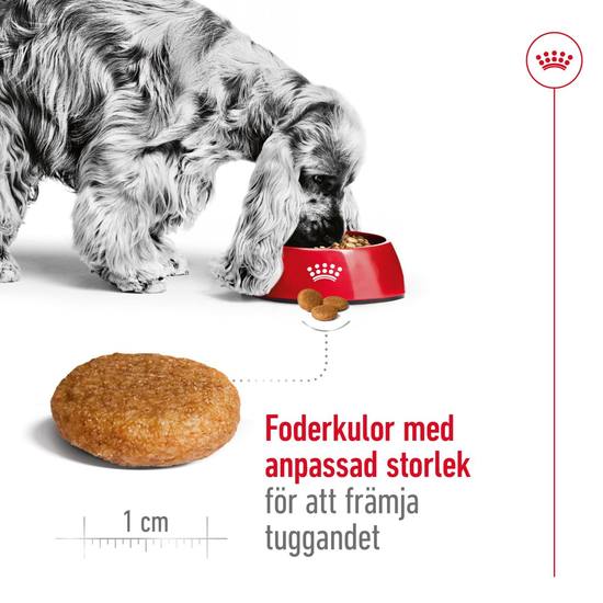 Royal Canin Medium Adult Torrfoder för Hund 10 kg