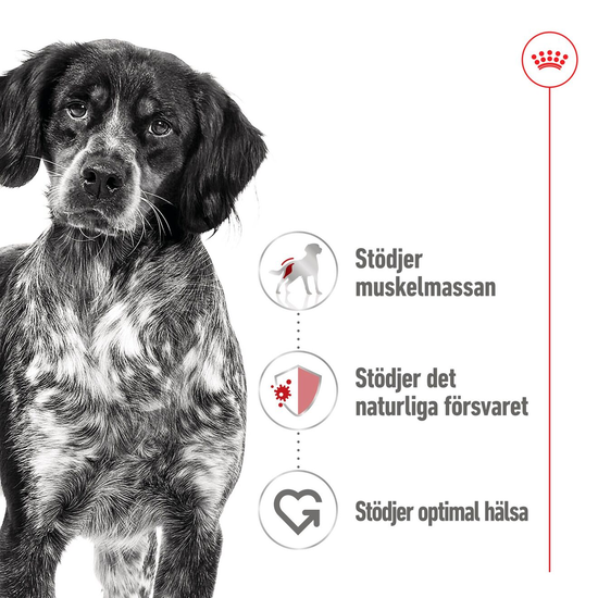 Royal Canin Medium Adult Loaf Våtfoder för Hund 4,92 kg