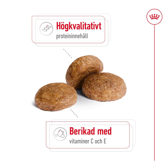 Royal Canin Medium Adult 7+ Torrfoder för Hund 15 kg