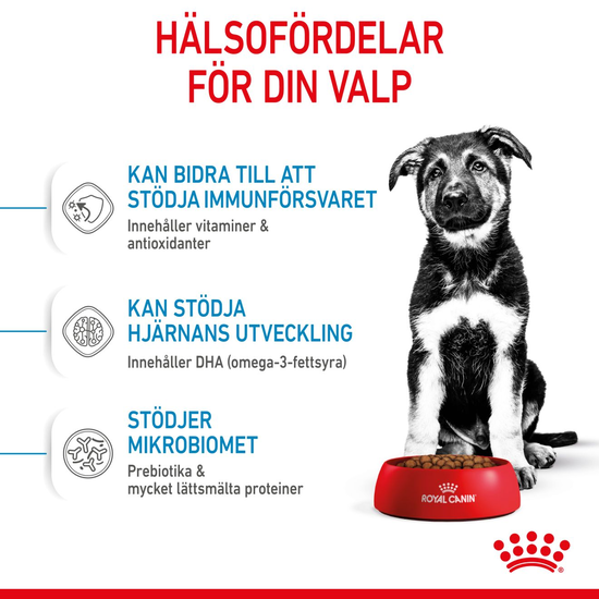 Royal Canin Maxi Puppy Torrfoder för Hundvalp 15 kg