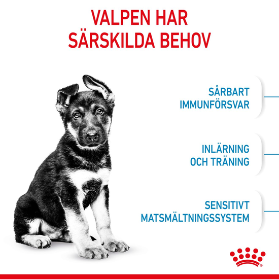 Royal Canin Maxi Puppy Torrfoder för Hundvalp 15 kg