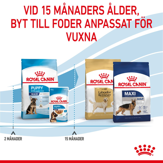 Royal Canin Maxi Puppy Torrfoder för Hundvalp 15 kg