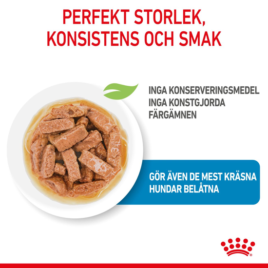 Royal Canin Maxi Puppy Gravy Våtfoder för Hundvalp 1,4 kg