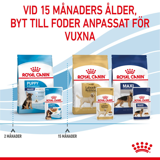 Royal Canin Maxi Puppy Gravy Våtfoder för Hundvalp 1,4 kg