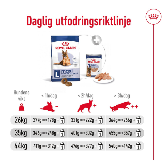 Royal Canin Maxi Ageing 8+ Torrfoder för Hund 15 kg