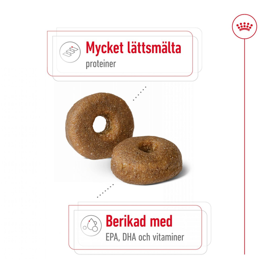 Royal Canin Maxi Ageing 8+ Torrfoder för Hund 15 kg