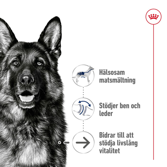 Royal Canin Maxi Ageing 8+ Torrfoder för Hund 15 kg