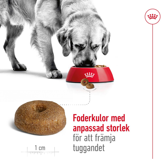 Royal Canin Maxi Ageing 8+ Torrfoder för Hund 15 kg