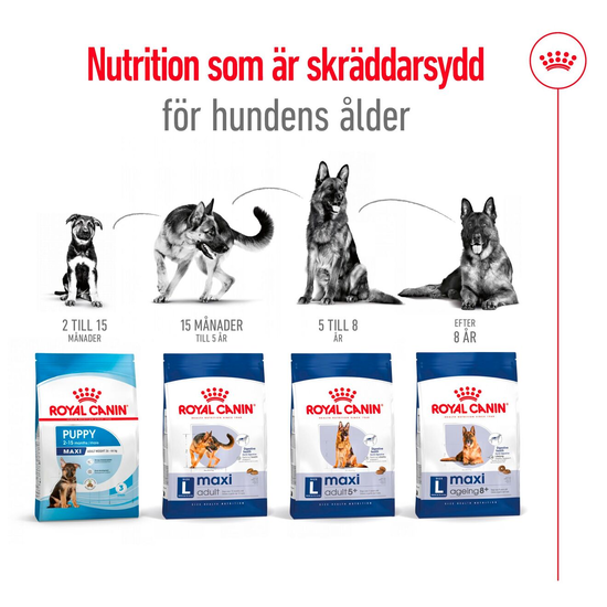 Royal Canin Maxi Ageing 8+ Torrfoder för Hund 15 kg