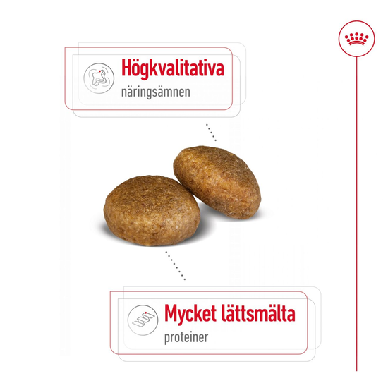 Royal Canin Maxi Adult Torrfoder för Hund 15 kg