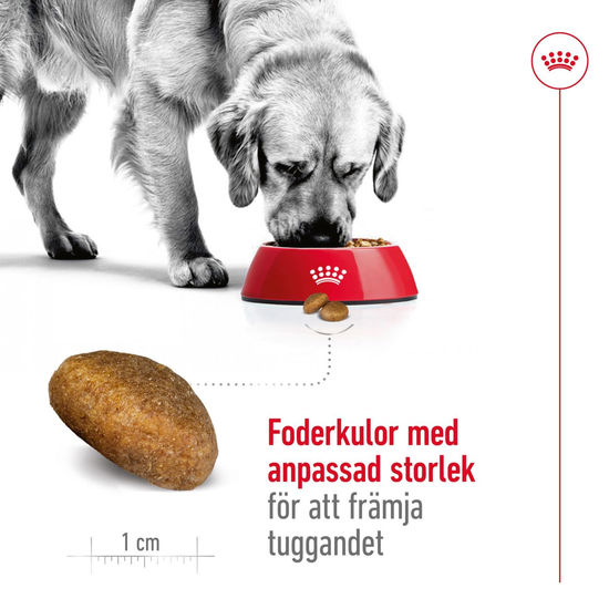 Royal Canin Maxi Adult Torrfoder för Hund 15 kg