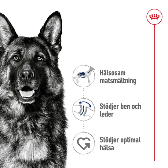 Royal Canin Maxi Adult Torrfoder för Hund 15 kg