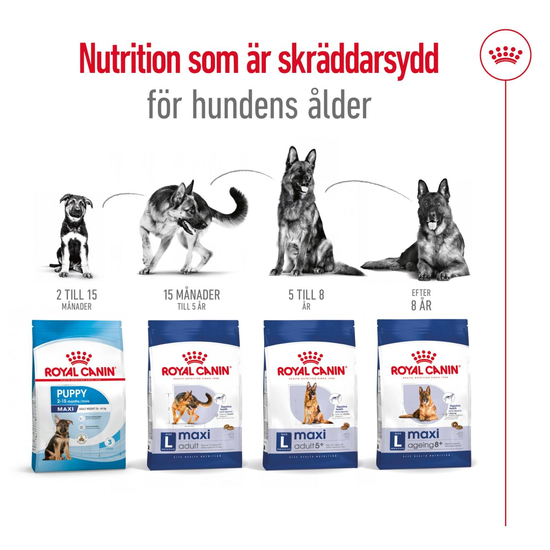 Royal Canin Maxi Adult Torrfoder för Hund 15 kg