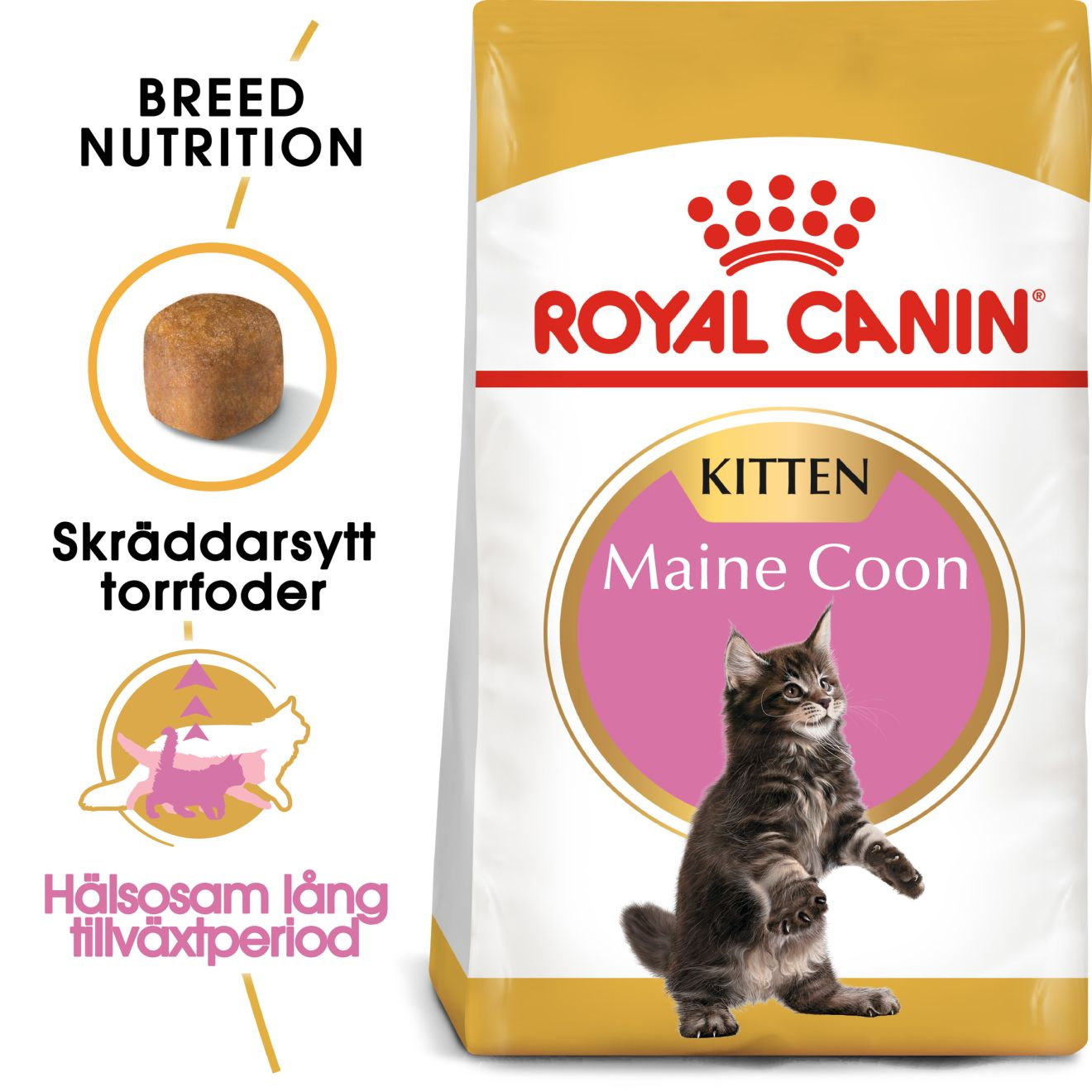 Royal Canin Maine Coon Kitten Torrfoder för Kattunge 4 kg
