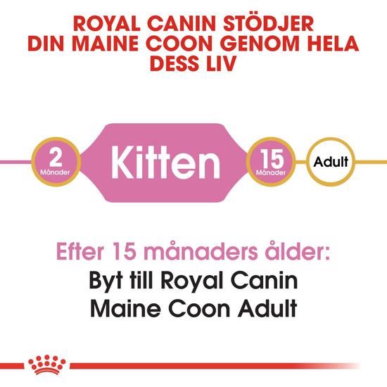 Royal Canin Maine Coon Kitten Torrfoder för Kattunge 4 kg