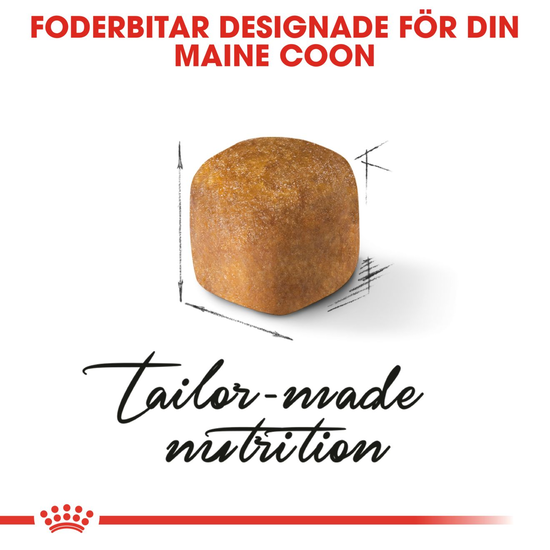 Royal Canin Maine Coon Kitten Torrfoder för Kattunge 4 kg