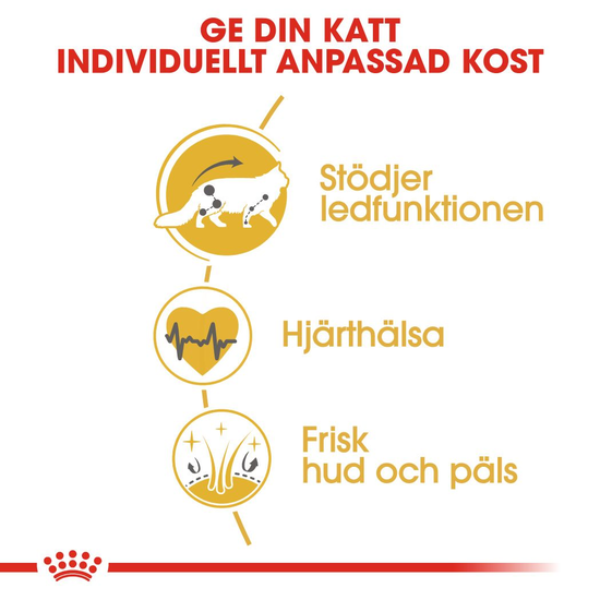 Royal Canin Maine Coon Adult Torrfoder för Katt 4 kg