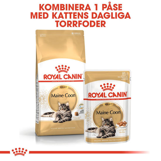 Royal Canin Maine Coon Adult Torrfoder för Katt 4 kg