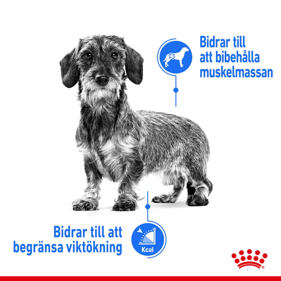 Royal Canin Light Weight Care Mini Adult Torrfoder för Hund 8 kg