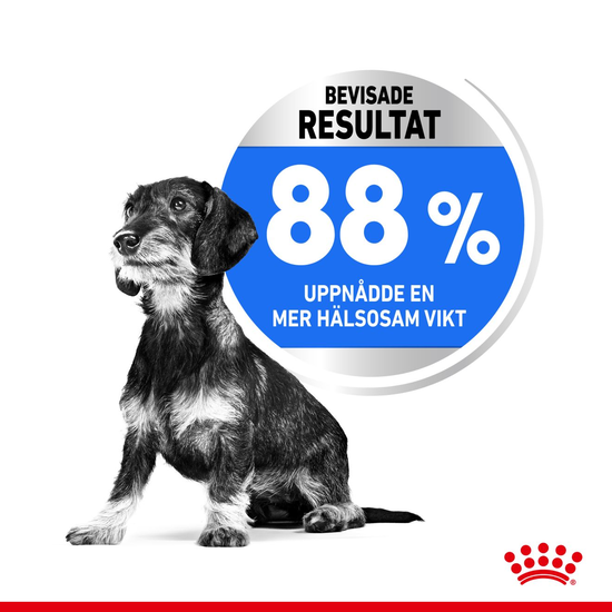 Royal Canin Light Weight Care Mini Adult Torrfoder för Hund 3 kg