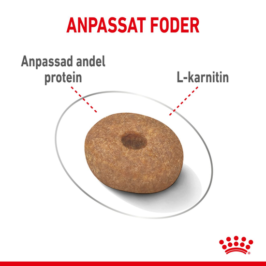Royal Canin Light Weight Care Mini Adult Torrfoder för Hund 3 kg