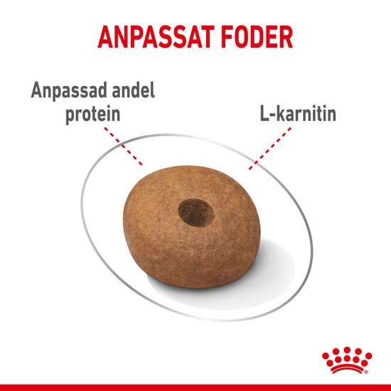 Royal Canin Light Weight Care Medium Adult Torrfoder för Hund 12 kg