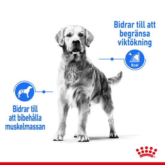 Royal Canin Light Weight Care Maxi Adult Torrfoder för Hund 12 kg
