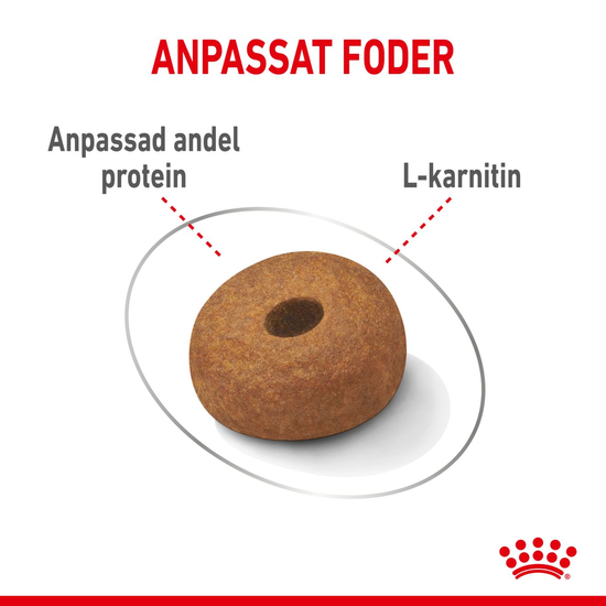 Royal Canin Light Weight Care Maxi Adult Torrfoder för Hund 12 kg