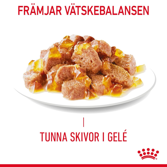 Royal Canin Light Weight Care Jelly Adult Våtfoder för Katt 1,02 kg