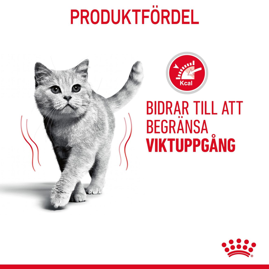 Royal Canin Light Weight Care Adult Torrfoder för Katt 3 kg