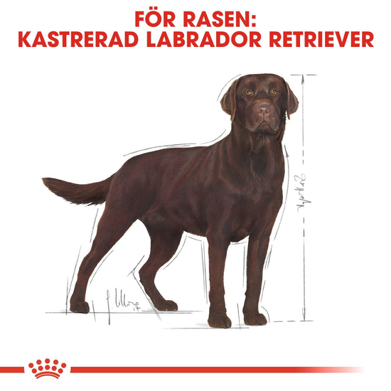 Royal Canin Labrador Retriever Sterilised Adult Torrfoder för Hund 12 kg
