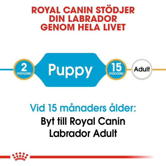 Royal Canin Labrador Retriever Puppy Torrfoder för Hundvalp 12 kg