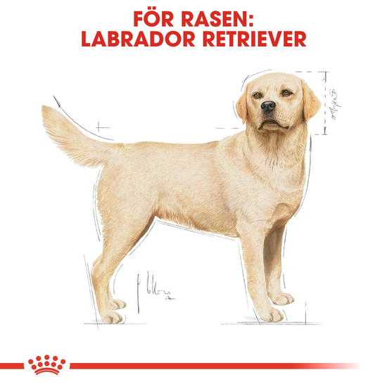 Royal Canin Labrador Retriever Adult Torrfoder för Hund 12 kg
