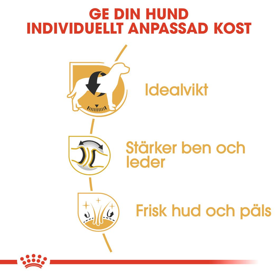Royal Canin Labrador Retriever Adult Torrfoder för Hund 12 kg