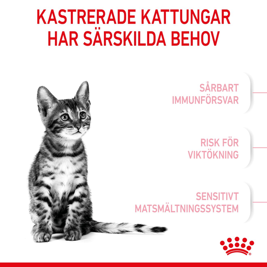 Royal Canin Kitten Sterilised Torrfoder för Kattunge 2 kg
