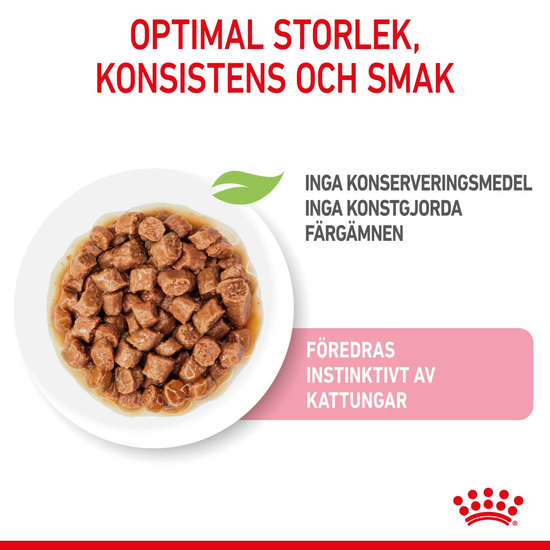 Royal Canin Kitten Gravy Våtfoder för Kattunge 1,02 kg