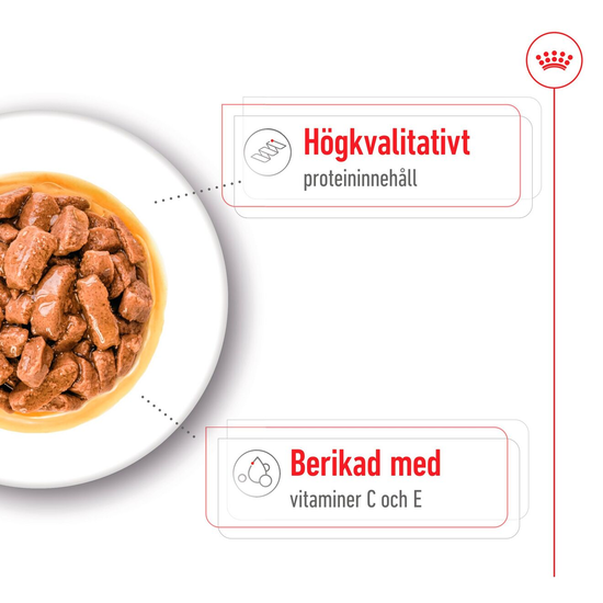 Royal Canin Medium Adult Gravy Våtfoder för Hund 1,4 kg