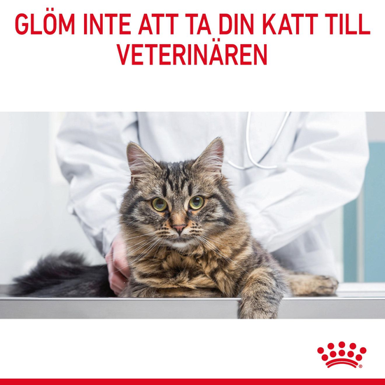 Royal Canin Appetite Control Care Adult Torrfoder för Katt 3,5 kg