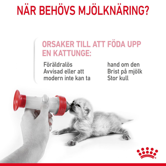 Royal Canin Babycat Milk Mjölk för Kattunge 300 g