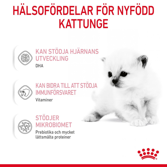 Royal Canin Babycat Milk Mjölk för Kattunge 300 g