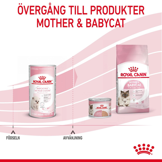 Royal Canin Babycat Milk Mjölk för Kattunge 300 g