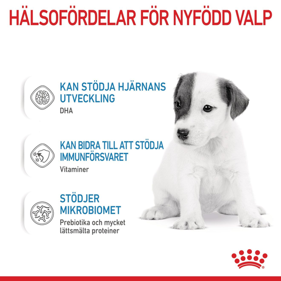 Royal Canin Babydog Milk Mjölk för Hundvalp 400 g