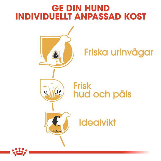 Royal Canin Bichon Frisé Adult Torrfoder för Hund 1,5 kg