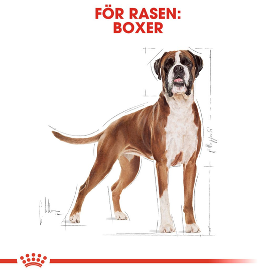 Royal Canin Boxer Adult Torrfoder för Hund 12 kg