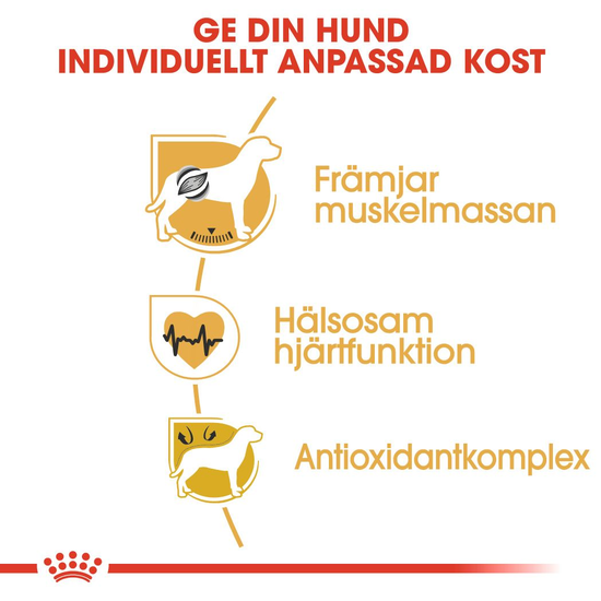 Royal Canin Boxer Adult Torrfoder för Hund 12 kg