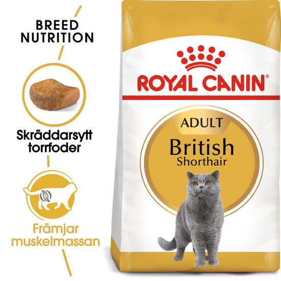 Royal Canin British Shorthair Adult Torrfoder för Katt 2 kg