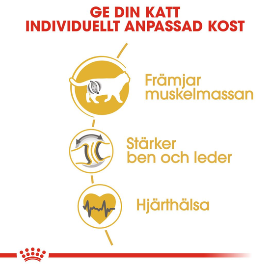 Royal Canin British Shorthair Adult Torrfoder för Katt 2 kg